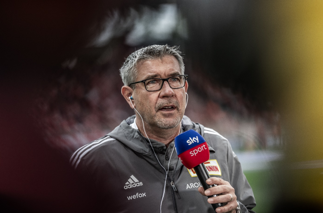 主力中锋的 主力中锋的