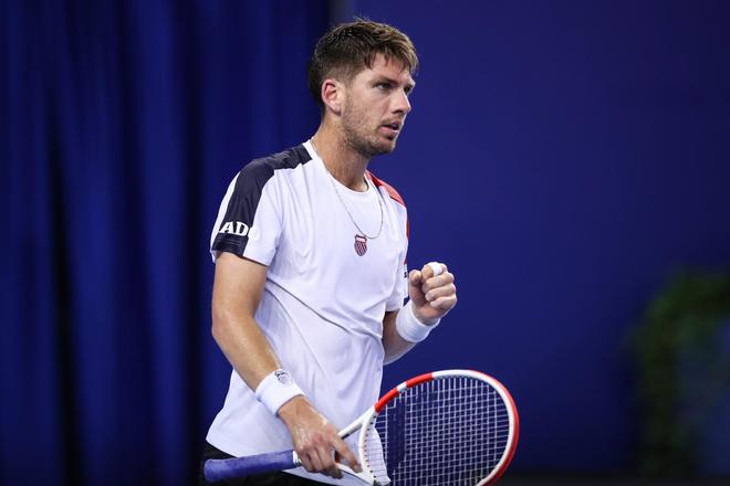 稳定的组织 稳定的组织